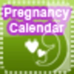 pregnancy calendar android application logo